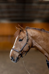 HFI licol little groom
