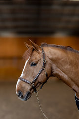 HFI licol little groom