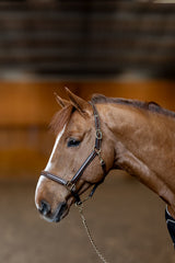 HFI licol little groom