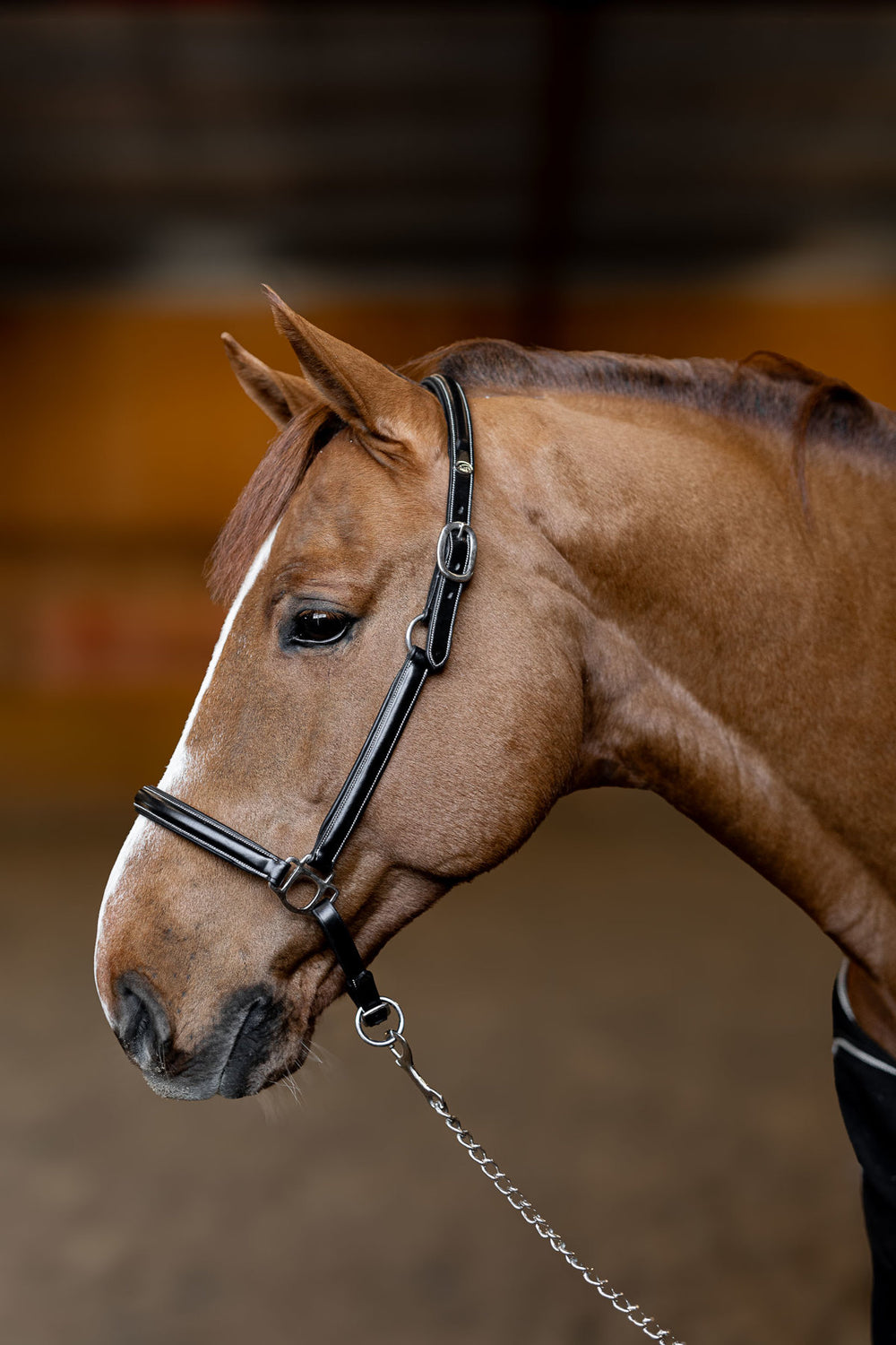 HFI licol little groom