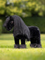 LeMieux toy pony Spike