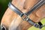 HFI flat halter - HorseworldEU