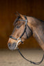 HFI hackamore bridle - HorseworldEU