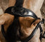 HFI pro bridle Verona - HorseworldEU