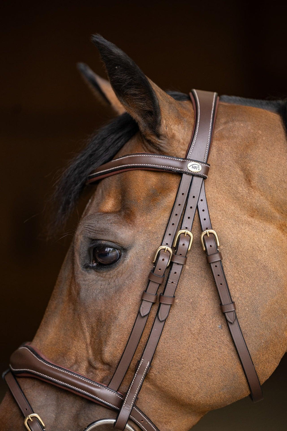 HFI wavy bridle - HorseworldEU