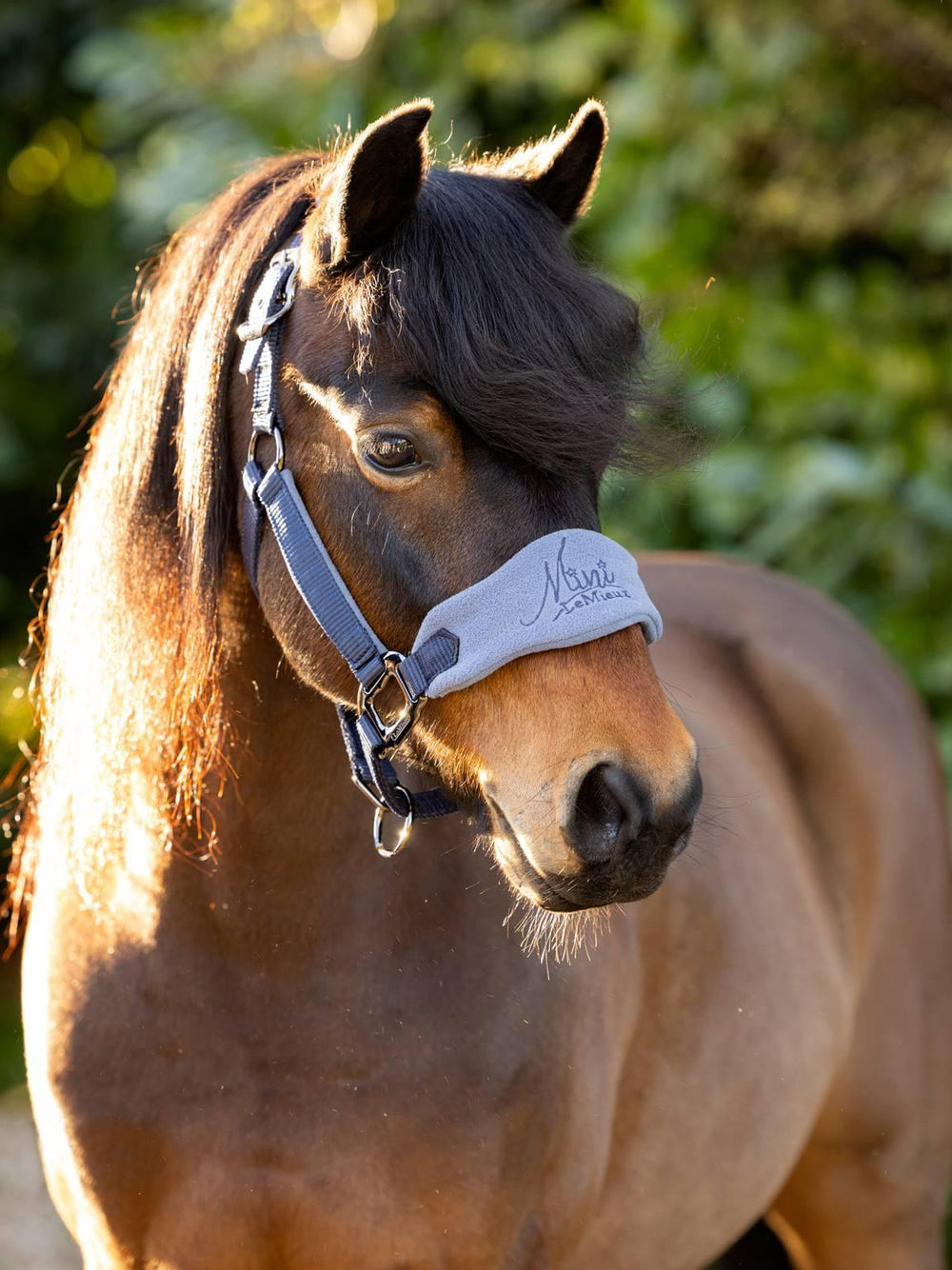 LeMieux mini vogue headcollar and leadrope - HorseworldEU