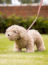 LeMieux toy puppy chester - HorseworldEU
