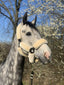 One equestrian nylon halter with sheepskin - HorseworldEU